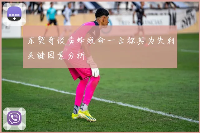 东契奇谈黄蜂致命一击称其为失利关键因素分析