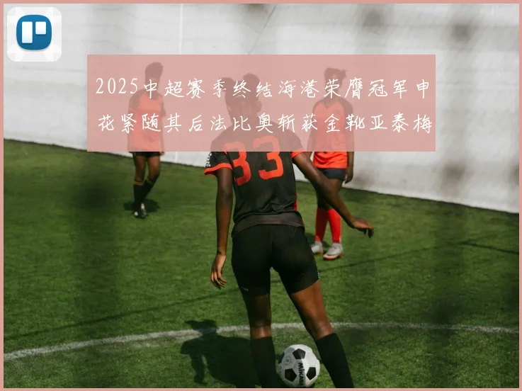 2025中超赛季终结海港荣膺冠军申花紧随其后法比奥斩获金靴亚泰梅州遗憾降级