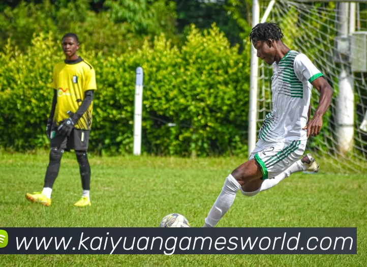 多媒体互动体验